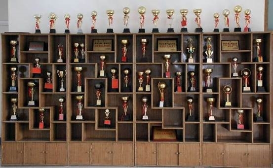 10-5获得的部分奖杯奖牌（1985年~2008年之间）