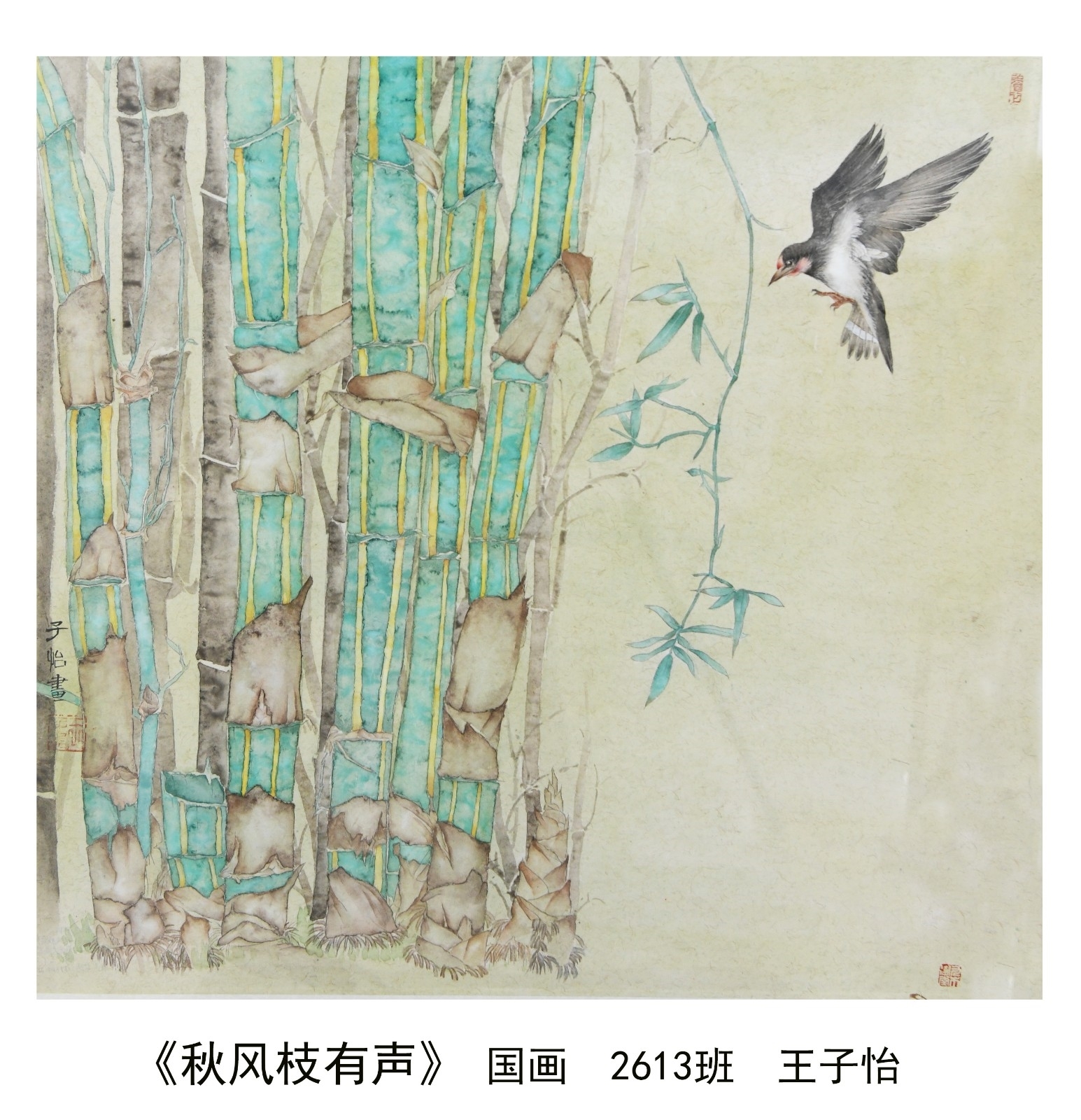 特等奖.jpg