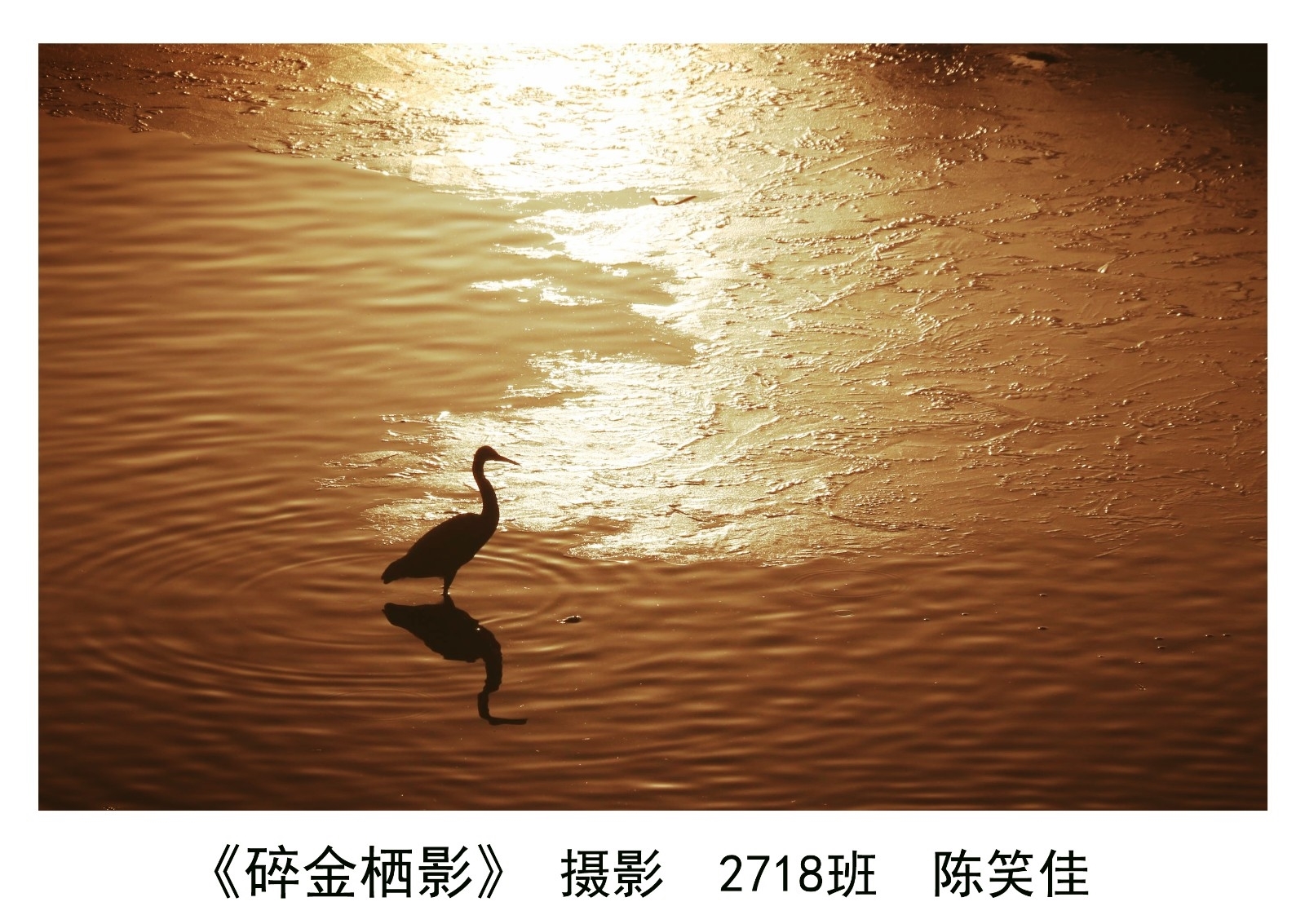 一等奖（3）.jpg