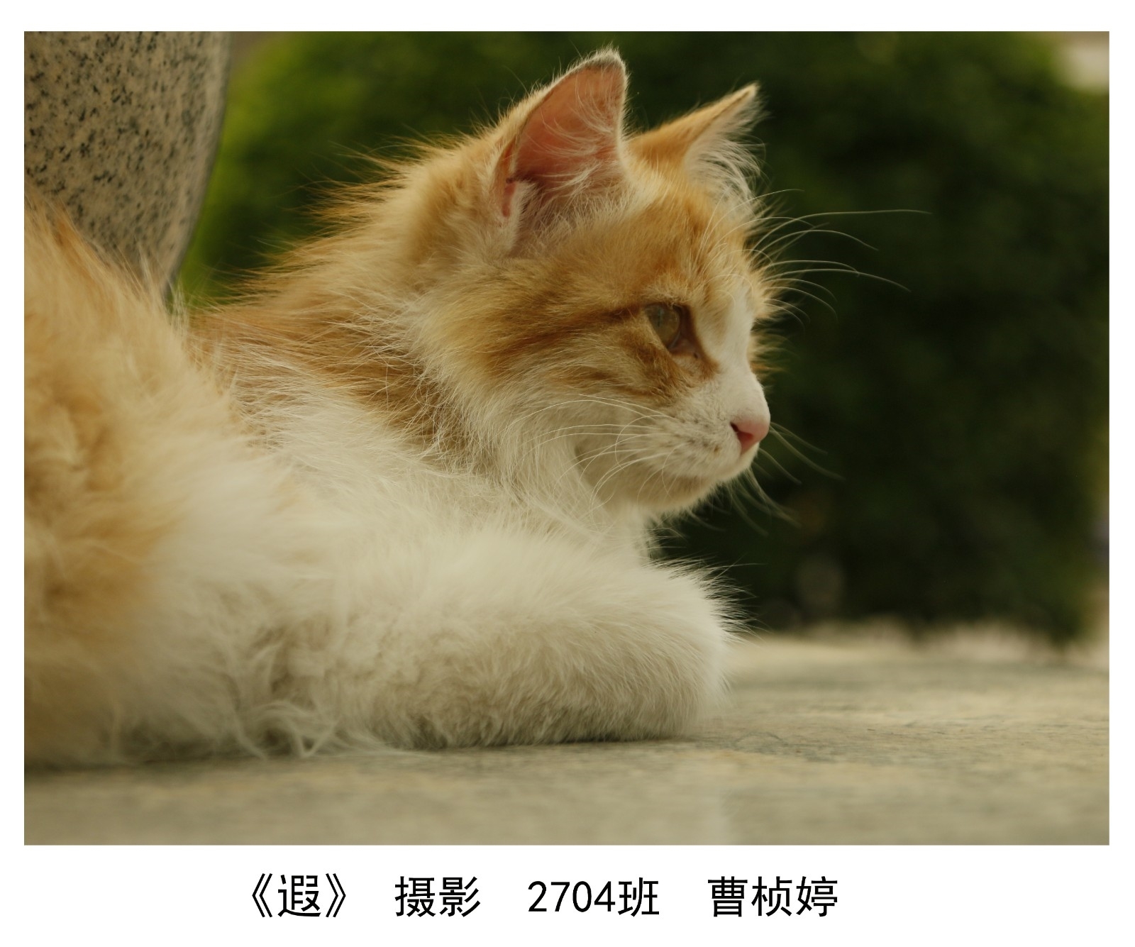 二等奖（3）.jpg