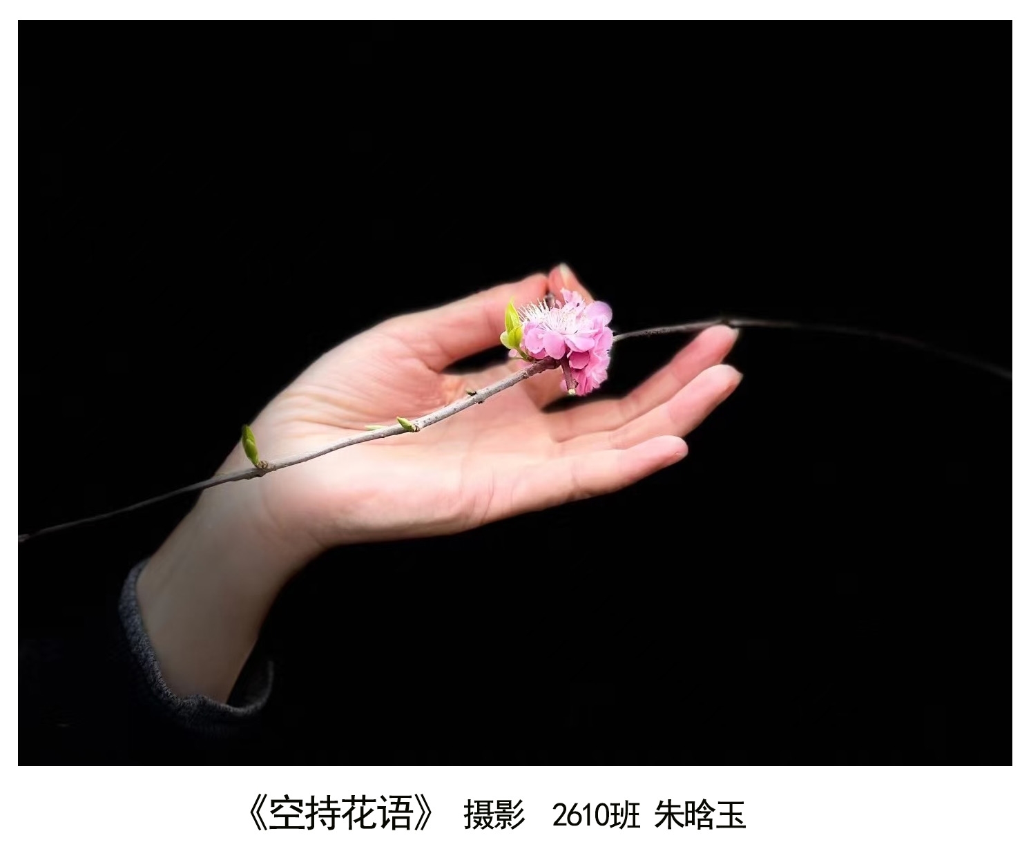 优秀作品1.jpg